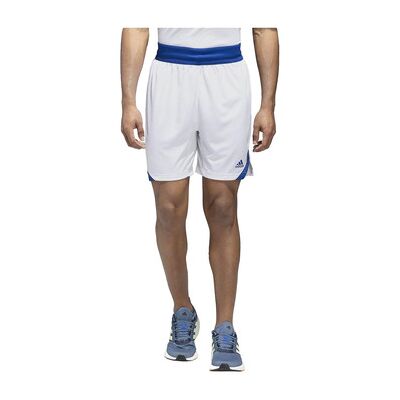 Short adidas Shorts Paris 23/24 Icon Squad 100% polyester recyclé Blanc EU L,EU XL Heren Short adidas Shorts Paris 23/24 Icon Squad 100% polyester recyclé Blanc EU L,EU XL Heren
