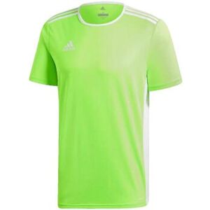Maillots de bain adidas Entrada 18 Vert EU S,EU L,EU XL Heren Maillots de bain adidas Entrada 18 Vert EU S,EU L,EU XL Heren