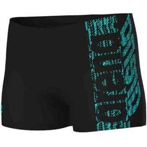 Maillots de bain Arena 0000007344-508 Noir 6 / 7 ans,8 / 9 ans,14 / 15 ans Heren Maillots de bain Arena 0000007344-508 Noir 6 / 7 ans,8 / 9 ans,14 / 15 ans Heren
