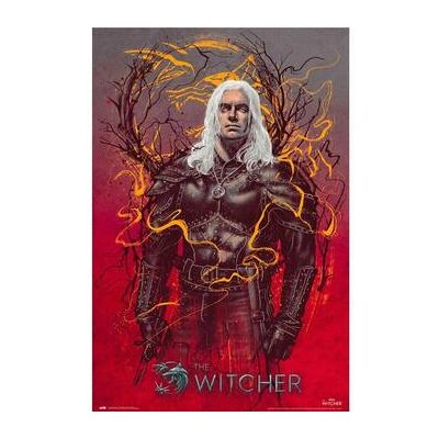 Affiches, posters The Witcher 61 cm x 91 cm TA8726 Multicolore Unique Dames Affiches, posters The Witcher 61 cm x 91 cm TA8726 Multicolore Unique Dames