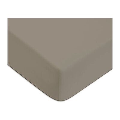 Draps housse Future Home Drap housse en coton 57 fils uni bonnet 25cm Marron 140x190 cm,140x200 cm,180x200 cm,90x190 cm Heren Draps housse Future Home Drap housse en coton 57 fils uni bonnet 25cm Marron 140x190 cm,140x200 cm,180x200 cm,90x190 cm Heren