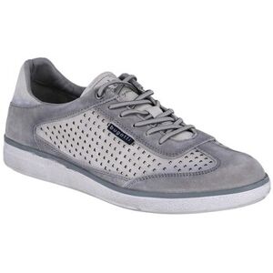 Baskets basses Bugatti Sneaker Carmelo Gris 41,42,43,44 Heren Baskets basses Bugatti Sneaker Carmelo Gris 41,42,43,44 Heren