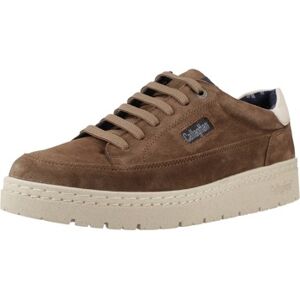 Baskets CallagHan 55815c Marron 36,37,39,41 Dames Baskets CallagHan 55815c Marron 36,37,39,41 Dames