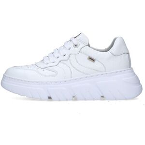 Baskets basses CallagHan 51809 Blanc 38,39,41 Dames Baskets basses CallagHan 51809 Blanc 38,39,41 Dames