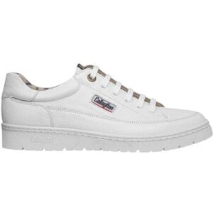 Baskets basses CallagHan 55210 Blanc 40,44 Heren Baskets basses CallagHan 55210 Blanc 40,44 Heren