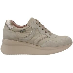 Baskets basses CallagHan 30036 Beige 37,40 Dames Baskets basses CallagHan 30036 Beige 37,40 Dames