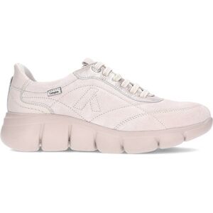 Baskets basses CallagHan 64701 marfil_oro Beige 36,37,38,39,40,41 Dames Baskets basses CallagHan 64701 marfil_oro Beige 36,37,38,39,40,41 Dames
