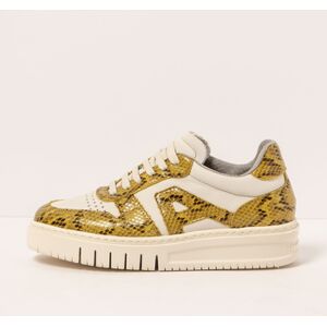 Baskets basses Art 1177714YR003 Multicolore 36,37,38,39,40 Dames Baskets basses Art 1177714YR003 Multicolore 36,37,38,39,40 Dames