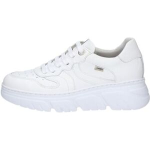 Baskets basses CallagHan - 39,40 Dames Baskets basses CallagHan - 39,40 Dames