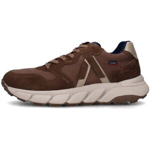 Baskets basses CallagHan 63800 Marron 40,41,43,44 Heren Baskets basses CallagHan 63800 Marron 40,41,43,44 Heren