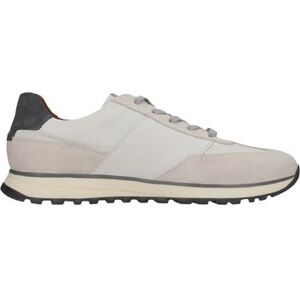 Baskets basses Bugatti Sneaker Blanc 40,41,42,43,44,45,46 Heren Baskets basses Bugatti Sneaker Blanc 40,41,42,43,44,45,46 Heren