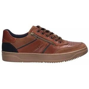 Baskets basses Bugatti Chaussures HUMUS Marron 40,41,42,43,44,45 Heren Baskets basses Bugatti Chaussures HUMUS Marron 40,41,42,43,44,45 Heren