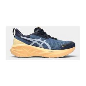 Baskets basses Asics Novablast 5 Lite-Show Blanc 40,39 1/2 Heren Baskets basses Asics Novablast 5 Lite-Show Blanc 40,39 1/2 Heren