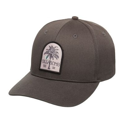 Casquette Billabong Patch Gris Unique Heren Casquette Billabong Patch Gris Unique Heren
