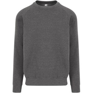 Sweatshirts Awdis Just Hoods Graduate Gris EU XXL,EU S,EU M,EU L,EU XL,EU XS,EU 3XL Heren Sweatshirts Awdis Just Hoods Graduate Gris EU XXL,EU S,EU M,EU L,EU XL,EU XS,EU 3XL Heren