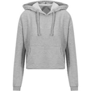 Sweatshirts à capuche Awdis JH016 Gris EU S,EU M,EU L,EU XL,EU XS,EU XXS Dames Sweatshirts à capuche Awdis JH016 Gris EU S,EU M,EU L,EU XL,EU XS,EU XXS Dames