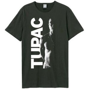 T-shirt Amplified Clothing GD690 Multicolore EU XXL,EU S,EU M,EU L,EU XL,EU XS Heren T-shirt Amplified Clothing GD690 Multicolore EU XXL,EU S,EU M,EU L,EU XL,EU XS Heren