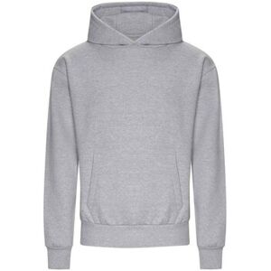 Sweatshirts à capuche Awdis Signature Gris EU XXL,EU M,EU L,EU XL,EU XS,EU 3XL Heren Sweatshirts à capuche Awdis Signature Gris EU XXL,EU M,EU L,EU XL,EU XS,EU 3XL Heren