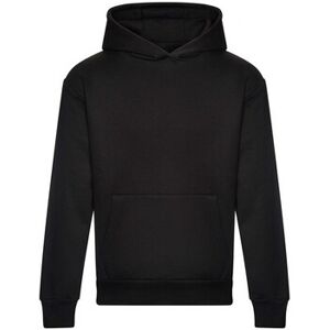 Sweatshirts à capuche Awdis Signature Noir EU XXL,EU M,EU L,EU XL,EU XS,EU 3XL,EU 4XL,EU 5XL Heren Sweatshirts à capuche Awdis Signature Noir EU XXL,EU M,EU L,EU XL,EU XS,EU 3XL,EU 4XL,EU 5XL Heren