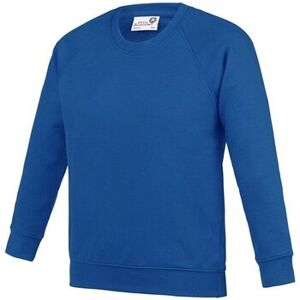 Sweatshirts Awdis Academy Bleu EU XXL,EU S,EU M,EU L,EU XL,EU XS Jongens Sweatshirts Awdis Academy Bleu EU XXL,EU S,EU M,EU L,EU XL,EU XS Jongens