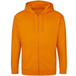 Sweatshirts à capuche Awdis JH050 Orange EU XXL,EU S,EU M,EU L,EU XL Heren Sweatshirts à capuche Awdis JH050 Orange EU XXL,EU S,EU M,EU L,EU XL Heren