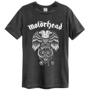 T-shirt Amplified Clothing Hiro Multicolore EU XXL,EU S,EU M,EU L,EU XL Heren T-shirt Amplified Clothing Hiro Multicolore EU XXL,EU S,EU M,EU L,EU XL Heren