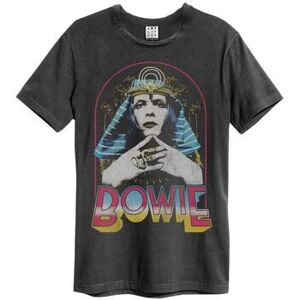 T-shirt Amplified Clothing Sphinx Multicolore EU XXL,EU S,EU M,EU L,EU XL,EU 3XL Heren T-shirt Amplified Clothing Sphinx Multicolore EU XXL,EU S,EU M,EU L,EU XL,EU 3XL Heren