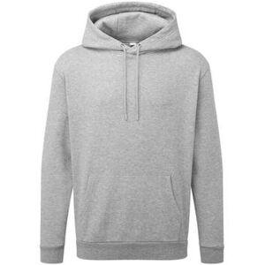 Sweatshirts à capuche Anthem AM101 Gris EU XXL,EU S,EU M,EU L,EU XL,EU XS,EU 3XL Heren Sweatshirts à capuche Anthem AM101 Gris EU XXL,EU S,EU M,EU L,EU XL,EU XS,EU 3XL Heren