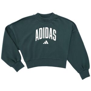 Sweatshirts adidas Seasonals Essentials Collegiate Typography Crewneck Sweatshirt K Vert 11 / 12 ans,13 / 14 ans,7 / 8 ans Meisjes Sweatshirts adidas Seasonals Essentials Collegiate Typography Crewneck Sweatshirt K Vert 11 / 12 ans,13 / 14 ans,7 / 8 ans Meisjes