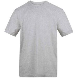 T-shirt Awdis AT001 Gris EU XXL,EU S,EU M,EU L,EU XL,EU 3XL Heren T-shirt Awdis AT001 Gris EU XXL,EU S,EU M,EU L,EU XL,EU 3XL Heren