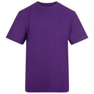 T-shirt Awdis AT001 Violet EU XXL,EU S,EU M,EU L,EU XL,EU 3XL Heren T-shirt Awdis AT001 Violet EU XXL,EU S,EU M,EU L,EU XL,EU 3XL Heren