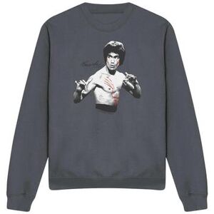 Sweatshirts Bruce Lee Final Confrontation Multicolore EU XXL,EU S,EU M,EU L,EU XL Heren Sweatshirts Bruce Lee Final Confrontation Multicolore EU XXL,EU S,EU M,EU L,EU XL Heren