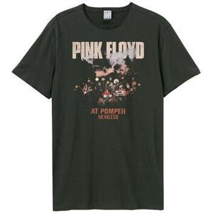 T-shirt Amplified Clothing Pompeii Live Multicolore EU XXL,EU S,EU M,EU L,EU XL,EU XS,EU 3XL Heren T-shirt Amplified Clothing Pompeii Live Multicolore EU XXL,EU S,EU M,EU L,EU XL,EU XS,EU 3XL Heren