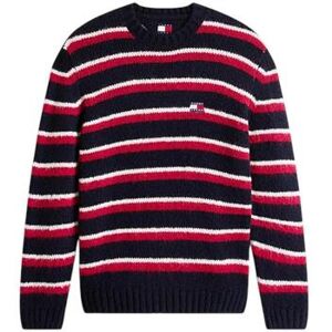 Pull Tommy Hilfiger DM0DM22109 XJ7 Bleu EU M,EU L Heren Pull Tommy Hilfiger DM0DM22109 XJ7 Bleu EU M,EU L Heren