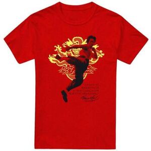 T-shirt Bruce Lee Immortal Dragon Rouge EU XXL,EU S,EU M,EU L,EU XL,EU 3XL Heren T-shirt Bruce Lee Immortal Dragon Rouge EU XXL,EU S,EU M,EU L,EU XL,EU 3XL Heren