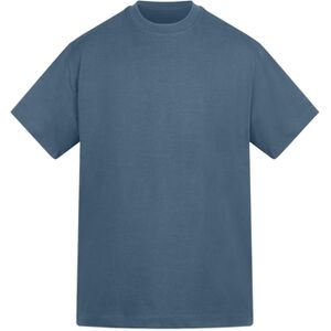 T-shirt Anthem Amplify Multicolore EU XXL,EU S,EU M,EU L,EU XL,EU XS,EU 3XL Heren T-shirt Anthem Amplify Multicolore EU XXL,EU S,EU M,EU L,EU XL,EU XS,EU 3XL Heren