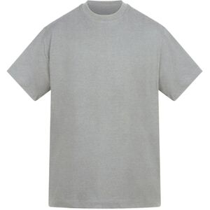 T-shirt Anthem Amplify Gris EU XXL,EU S,EU M,EU L,EU XL,EU XS,EU 3XL Heren T-shirt Anthem Amplify Gris EU XXL,EU S,EU M,EU L,EU XL,EU XS,EU 3XL Heren