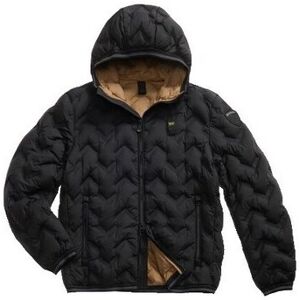 Blouson Blauer 25WBLUC03233999 Noir EU M,EU L,EU 3XL Heren Blouson Blauer 25WBLUC03233999 Noir EU M,EU L,EU 3XL Heren