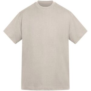 T-shirt Anthem Amplify Beige EU XXL,EU S,EU M,EU L,EU XL,EU XS,EU 3XL Heren T-shirt Anthem Amplify Beige EU XXL,EU S,EU M,EU L,EU XL,EU XS,EU 3XL Heren