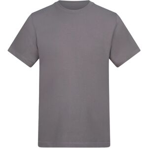 T-shirt Awdis AT001 Violet EU XXL,EU S,EU M,EU L,EU XL,EU 3XL,EU 4XL,EU 5XL Dames T-shirt Awdis AT001 Violet EU XXL,EU S,EU M,EU L,EU XL,EU 3XL,EU 4XL,EU 5XL Dames