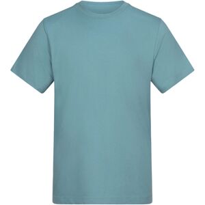 T-shirt Awdis AT001 Bleu EU XXL,EU S,EU M,EU L,EU XL,EU 3XL,EU 4XL,EU 5XL Heren T-shirt Awdis AT001 Bleu EU XXL,EU S,EU M,EU L,EU XL,EU 3XL,EU 4XL,EU 5XL Heren