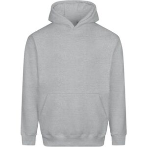 Sweatshirts à capuche Awdis Vision Gris EU S,EU M,EU L,EU 3XL Dames Sweatshirts à capuche Awdis Vision Gris EU S,EU M,EU L,EU 3XL Dames