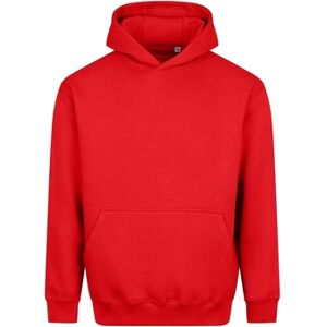 Sweatshirts à capuche Awdis Vision Rouge EU XXL,EU S,EU M,EU XL,EU XS,EU 3XL Heren Sweatshirts à capuche Awdis Vision Rouge EU XXL,EU S,EU M,EU XL,EU XS,EU 3XL Heren