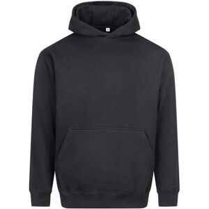 Sweatshirts à capuche Awdis Vision Multicolore EU XXL,EU S,EU XL,EU XS,EU 3XL Heren Sweatshirts à capuche Awdis Vision Multicolore EU XXL,EU S,EU XL,EU XS,EU 3XL Heren