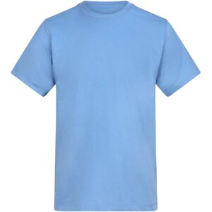 T-shirt Awdis 150 Bleu EU XXL,EU S,EU M,EU L,EU XL,EU 3XL,EU 4XL,EU 5XL Heren T-shirt Awdis 150 Bleu EU XXL,EU S,EU M,EU L,EU XL,EU 3XL,EU 4XL,EU 5XL Heren