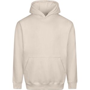 Sweatshirts à capuche Awdis Vision Multicolore EU XXL,EU XL,EU XS,EU 3XL Heren Sweatshirts à capuche Awdis Vision Multicolore EU XXL,EU XL,EU XS,EU 3XL Heren