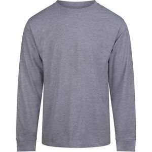 T-shirt Awdis RW11078 Gris EU XXL,EU S,EU M,EU L,EU XL,EU 3XL Heren T-shirt Awdis RW11078 Gris EU XXL,EU S,EU M,EU L,EU XL,EU 3XL Heren