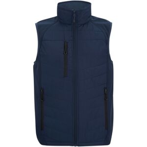 Gilets de costume Regatta RG12395 Bleu EU XXL,EU S,EU M,EU L,EU XL,EU XS,EU 3XL,EU 4XL,EU 5XL Heren Gilets de costume Regatta RG12395 Bleu EU XXL,EU S,EU M,EU L,EU XL,EU XS,EU 3XL,EU 4XL,EU 5XL Heren