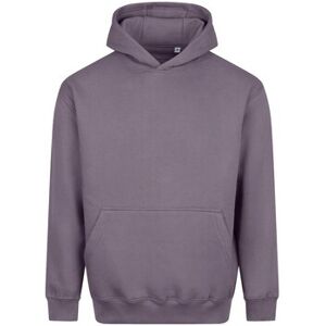Sweatshirts à capuche Awdis Vision Violet EU XXL,EU S,EU M,EU L,EU XL,EU XS,EU 3XL Heren Sweatshirts à capuche Awdis Vision Violet EU XXL,EU S,EU M,EU L,EU XL,EU XS,EU 3XL Heren