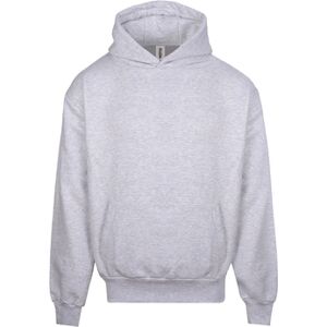 Sweatshirts à capuche Awdis Signature Gris EU S,EU M,EU L,EU XL,EU XS,EU 3XL Heren Sweatshirts à capuche Awdis Signature Gris EU S,EU M,EU L,EU XL,EU XS,EU 3XL Heren